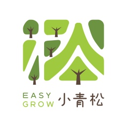 小青松