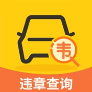 违章查询
